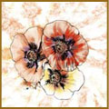 Kankariya Textile Industries - Scarves
